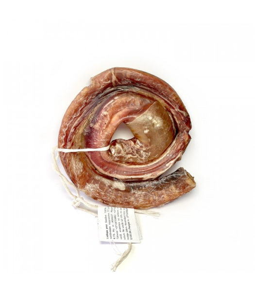 DIGDOG Liellopa penis - gliemezis M