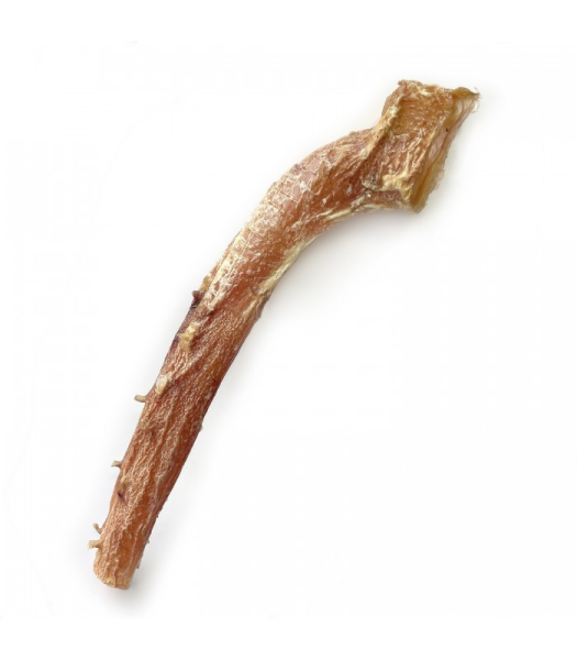 DIGDOG Liellopa aortas